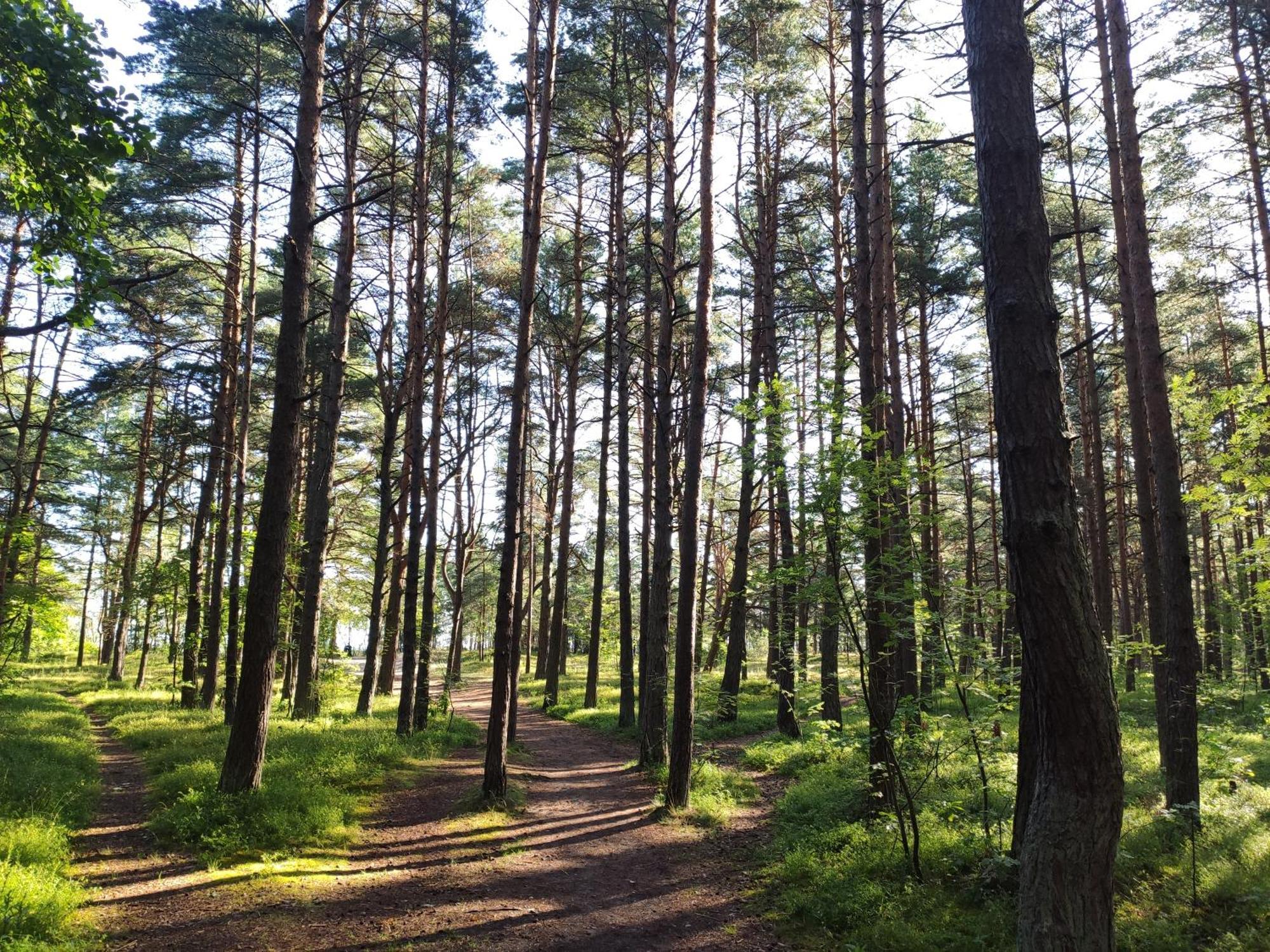 Flip-Flops Apartment Jurmala With Free Parking エクステリア 写真