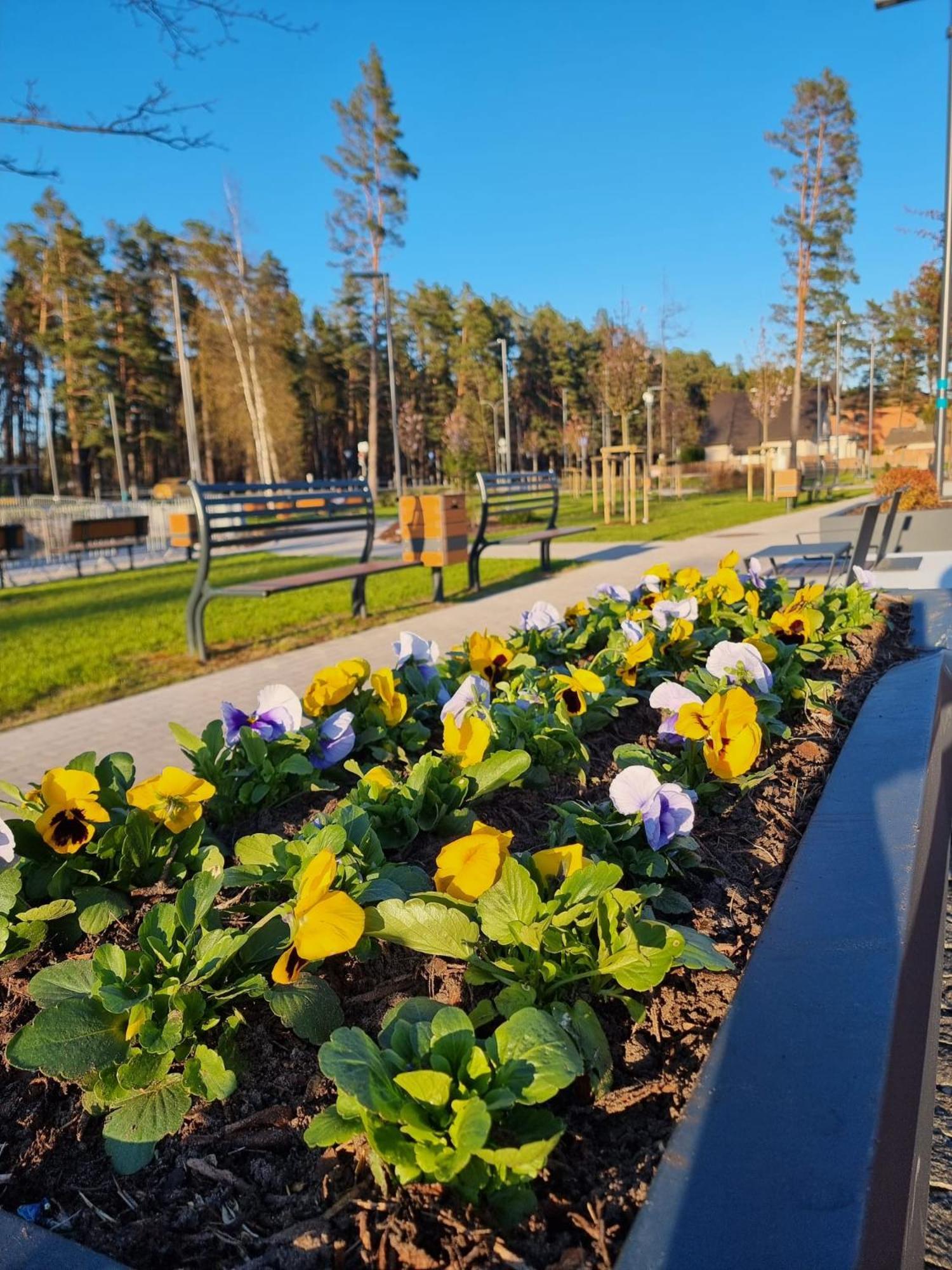 Flip-Flops Apartment Jurmala With Free Parking エクステリア 写真